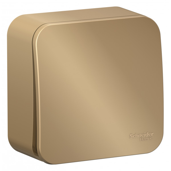 Переключатель Schneider Electric BLANCA 1-клав. О/У с 10АХ/250B ТИТАН