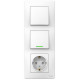Блок Schneider Electric BLANCA розетка, 2 одноклав. выкл. С/У 10А/16А 250В БЕЛЫЙ