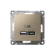 ATLASDESIGN USB РОЗЕТКА A + тип-C 45Вт высокоскор.заряд. QC, PD, механизм, ШАМПАНЬ