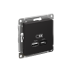 ATLASDESIGN USB РОЗЕТКА А+С, 5В/2,4А, 2х5В/1,2А, механизм, КАРБОН