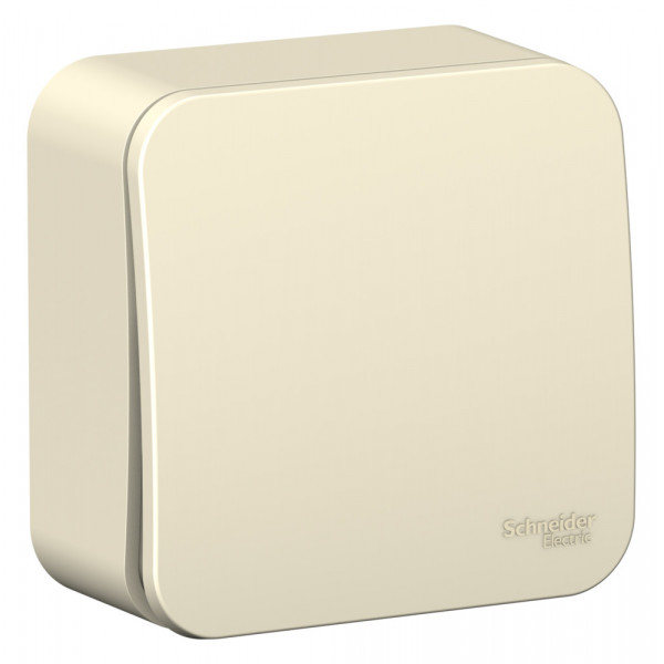 Переключатель Schneider Electric BLANCA 1-клав. О/У с 10АХ/250B МОЛОЧНЫЙ