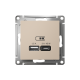 ATLASDESIGN USB РОЗЕТКА A + тип-C 45Вт высокоскор.заряд. QC, PD, механизм, ПЕСОЧНЫЙ