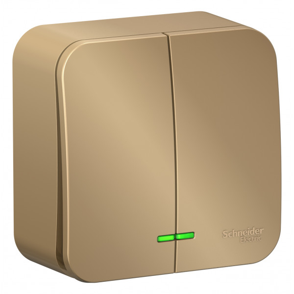 Выключатель Schneider Electric BLANCA 2х-клав. с подсветкой О/У 10А/250B ТИТАН