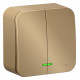 Выключатель Schneider Electric BLANCA 2х-клав. с подсветкой О/У 10А/250B ТИТАН