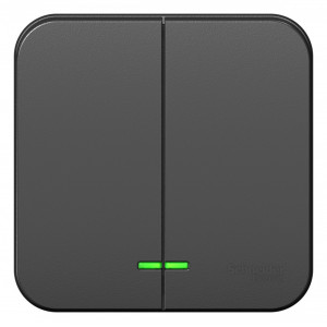 Выключатель Schneider Electric BLANCA 2х-клав. с подсветкой О/У АНТРАЦИТ