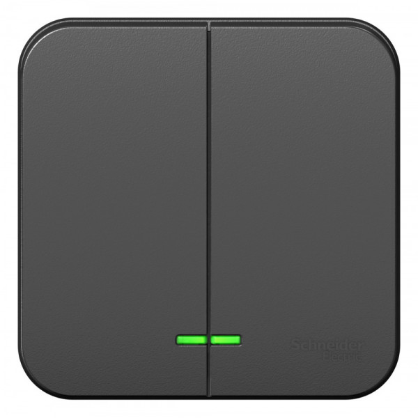 Выключатель Schneider Electric BLANCA 2х-клав. с подсветкой О/У АНТРАЦИТ