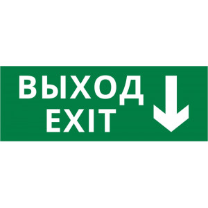 Пиктограмма ДСО-101-IP20 "Выход - вниз"