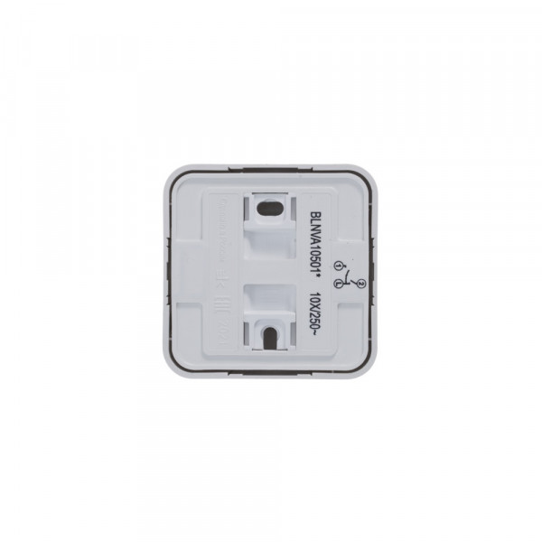 Выключатель Schneider Electric BLANCA 2х-клав. О/У с 10А/250B БЕЛЫЙ