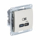 GLOSSA USB РОЗЕТКА тип-C 65Вт высокоскор.заряд. QC, PD, механизм, БЕЖЕВЫЙ