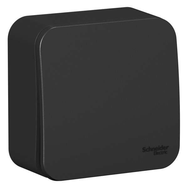 Переключатель Schneider Electric BLANCA 1-клав. О/У с 10АХ/250В АНТРАЦИТ