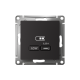 ATLASDESIGN USB РОЗЕТКА тип-С 65Вт высокоскор.заряд. QC, PD, механизм, КАРБОН