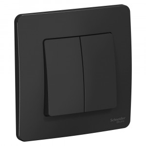 Выключатель Schneider Electric BLANCA 2х-клав. С/У, 10АХ/250B АНТРАЦИТ