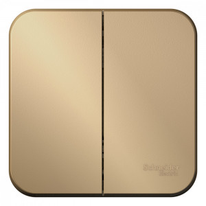 Выключатель Schneider Electric BLANCA 2х-клав. О/У с 10А/250B ТИТАН