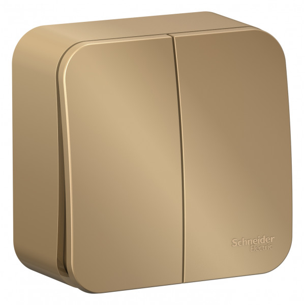 Выключатель Schneider Electric BLANCA 2х-клав. О/У с 10А/250B ТИТАН