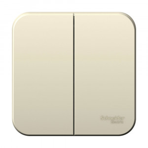 Выключатель Schneider Electric BLANCA 2х-клав. О/У, 6А/250B МОЛОЧНЫЙ