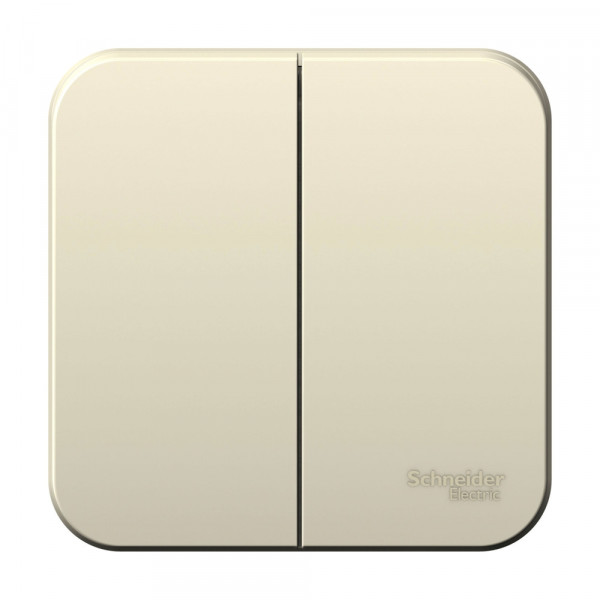 Выключатель Schneider Electric BLANCA 2х-клав. О/У, 6А/250B МОЛОЧНЫЙ