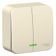 Выключатель Schneider Electric BLANCA 2х-клав. с подсветкой О/У 10А/250B МОЛОЧНЫЙ