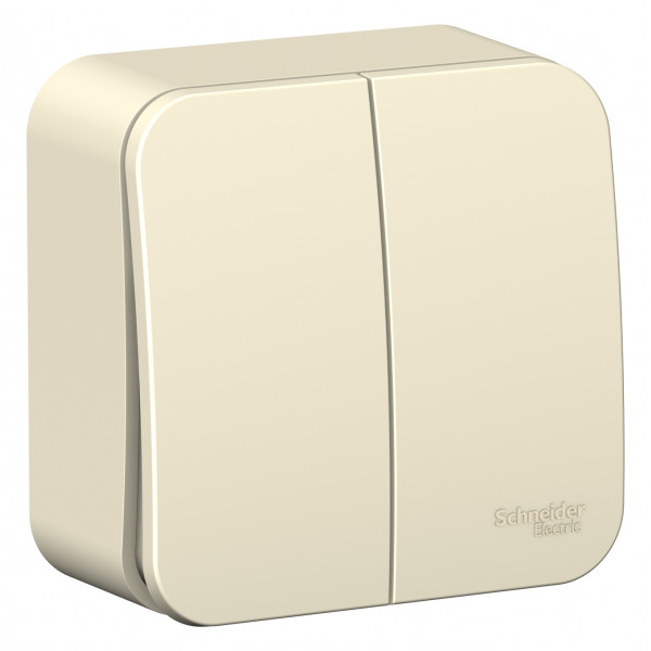 Выключатель Schneider Electric BLANCA 2х-клав. О/У, 10А/250B МОЛОЧНЫЙ