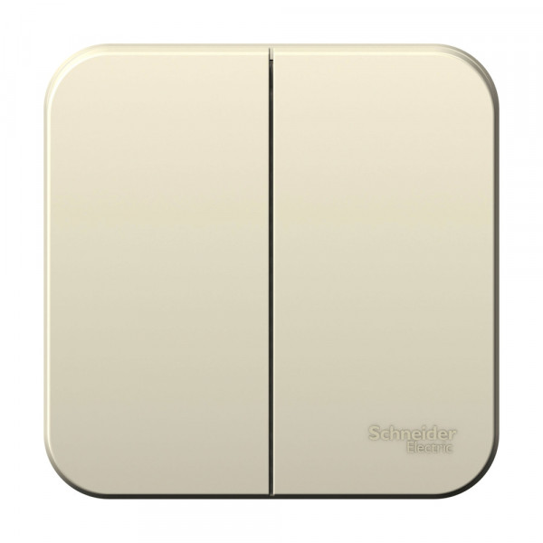 Выключатель Schneider Electric BLANCA 2х-клав. О/У, 10А/250B МОЛОЧНЫЙ