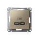 ATLASDESIGN USB РОЗЕТКА тип-С 65Вт высокоскор.заряд. QC, PD, механизм, ШАМПАНЬ