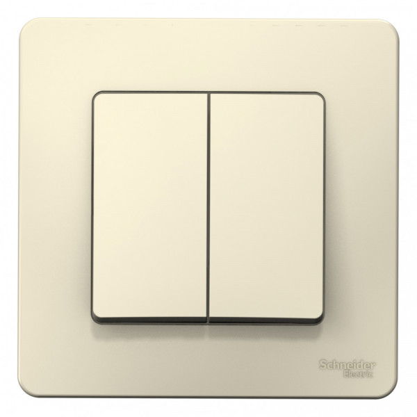Выключатель Schneider Electric BLANCA 2х-клав. С/У, 10АХ/250B МОЛОЧНЫЙ