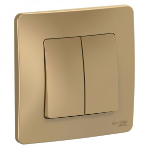 Переключатель Schneider Electric BLANCA 2х-клав. с подсвет. С/У 10АХ/250B ТИТАН