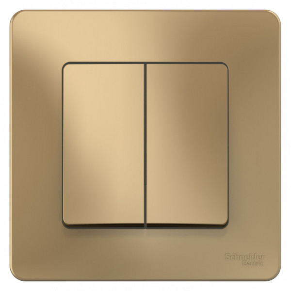 Переключатель Schneider Electric BLANCA 2х-клав. с подсвет. С/У 10АХ/250B ТИТАН