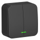 Выключатель Schneider Electric BLANCA 2х-клав. с подсветкой О/У 10А/250B АНТРАЦИТ