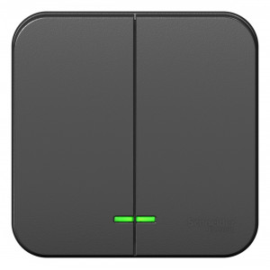 Выключатель Schneider Electric BLANCA 2х-клав. с подсветкой О/У 10А/250B АНТРАЦИТ
