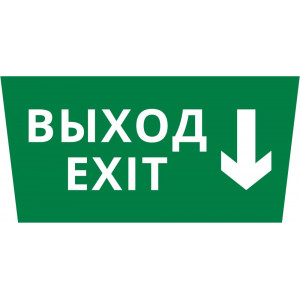 Пиктограмма ДСО-101-IP65 "Выход - вниз"