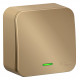 Переключатель Schneider Electric BLANCA 1-клав. с подсветкой О/У 10АХ/250В ТИТАН