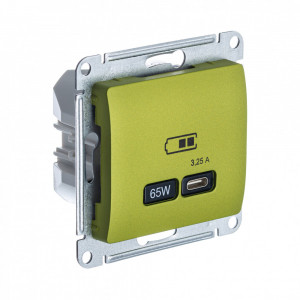 GLOSSA USB РОЗЕТКА тип-C 65Вт высокоскор.заряд. QC, PD, механизм, ФИСТАШКОВЫЙ