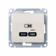 GLOSSA USB РОЗЕТКА тип-C 65Вт высокоскор.заряд. QC, PD, механизм, БЕЖЕВЫЙ