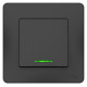Переключатель Schneider Electric BLANCA 1-клав. с подсвет. С/У 10АХ/250B АНТРАЦИТ