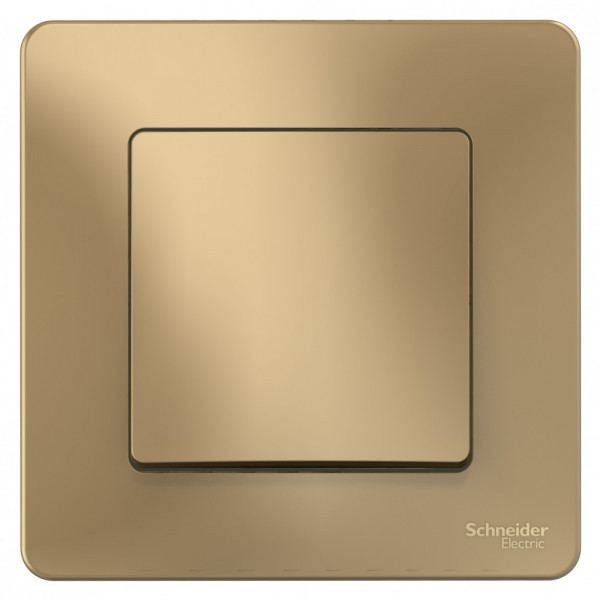 Переключатель Schneider Electric BLANCA 1-клав. С/У, 10АХ/250B ТИТАН