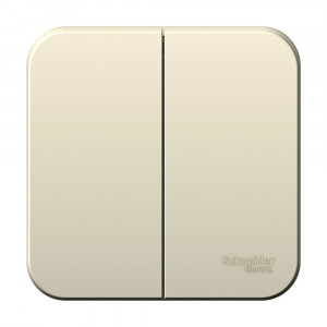Выключатель Schneider Electric BLANCA 2х-клав. О/У с 10А/250B МОЛОЧНЫЙ