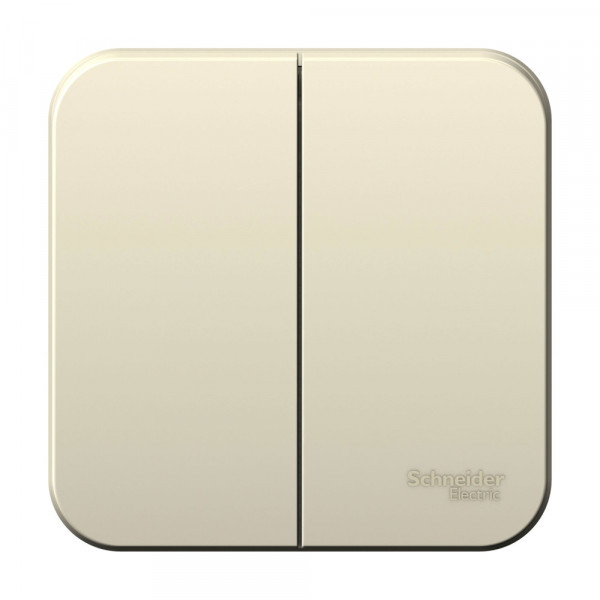 Выключатель Schneider Electric BLANCA 2х-клав. О/У с 10А/250B МОЛОЧНЫЙ