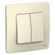 Переключатель Schneider Electric BLANCA 2х-клав. с подсвет. С/У 10АХ/250B МОЛОЧНЫЙ