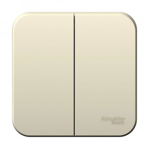 Выключатель Schneider Electric BLANCA 2х-клав. О/У с 6А/250B МОЛОЧНЫЙ