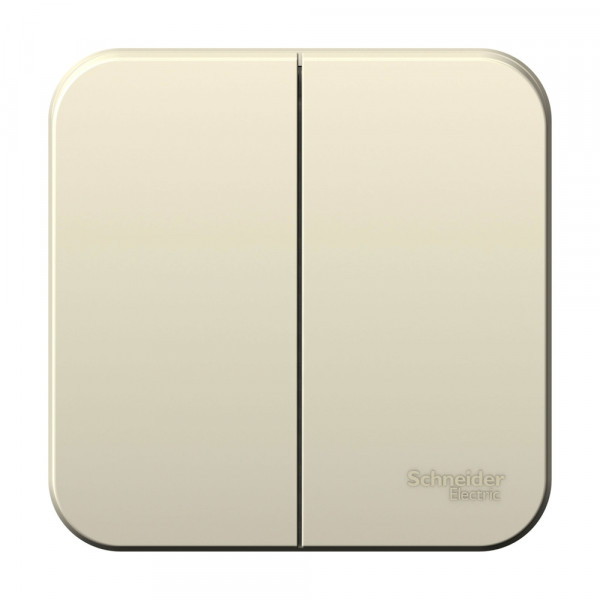 Выключатель Schneider Electric BLANCA 2х-клав. О/У с 6А/250B МОЛОЧНЫЙ