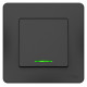 Выключатель Schneider Electric BLANCA 1-клав. с подсвет. С/У 10АХ/250B АНТРАЦИТ