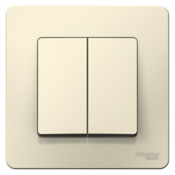 Выключатель Schneider Electric BLANCA 2х-клав. С/У, 6А/250B МОЛОЧНЫЙ